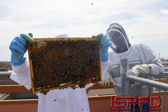 Bienenprojekt-010005-Imker